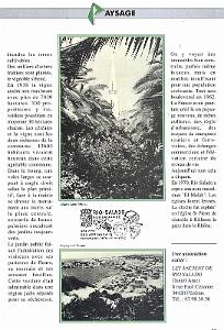 Rio Salado 006